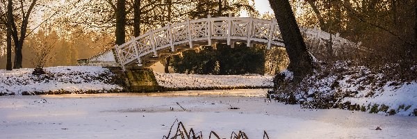 Niemcy, Park Worlitz, Mostek, Staw, Saksonia-Anhalt, Drzewa, Zaśnieżony, Zima