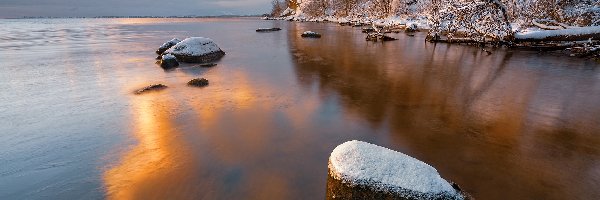 Skarpa, Morze, Polska, Śnieg, Zatoka Pucka, Drzewa, Kamienie, Poranek