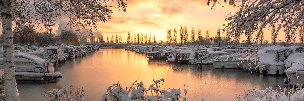 Przystań, Hrabstwo Derbyshire, Ośnieżone, Drzewa, Sawley Marina, Motorówki, Zima, Anglia