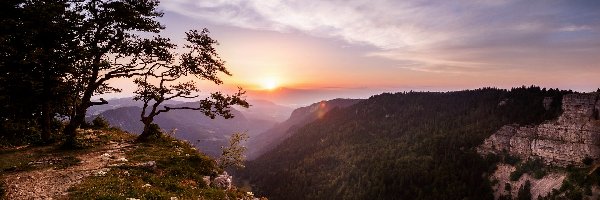 Roślinność, Creux du Van, Góry Jura, Neuchatel, Szwajcaria, Drzewa, Wschód słońca