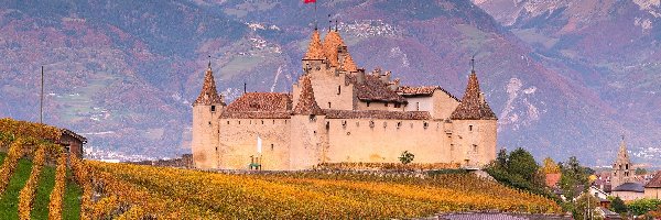 Region Chablais Vaudois, Aigle Castle, Góry, Szwajcaria, Zamek, Winnice, Plantacja