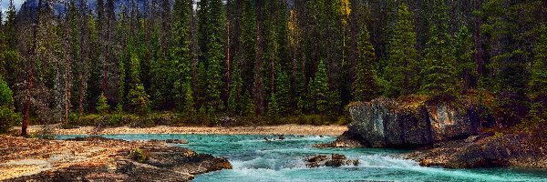 Park Narodowy Yoho, Skały, Rzeka, Drzewa, Góry, Kanada, Kolumbia Brytyjska, Kicking Horse River, Chmury