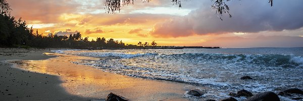 Fale, Morze, Zachód słońca, Chmury, Plaża, Kamienie, Drzewa, Wybrzeże