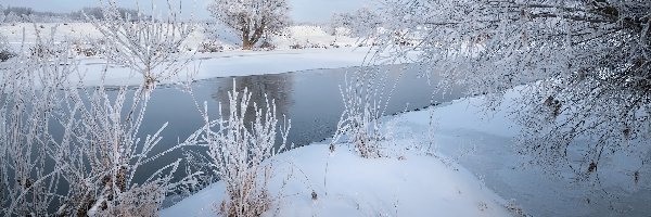 Zima, Śnieg, Rzeka, Drzewa, Rośliny