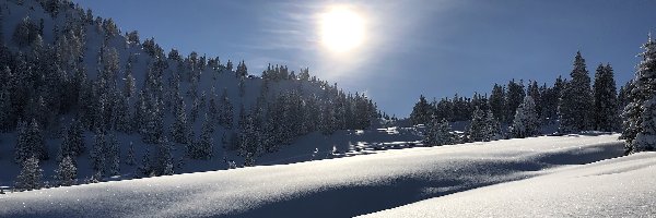 Zima, Las, Śnieg, Drzewa, Promienie słońca