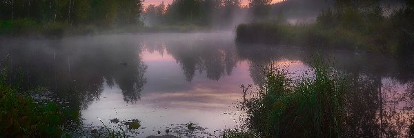 Trawa, Mgła, Drzewa, Kamień, Jezioro, Wschód słońca