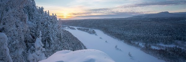 Drzewa, Lasy, Ośnieżone, Wschód słońca, Góry, Zima