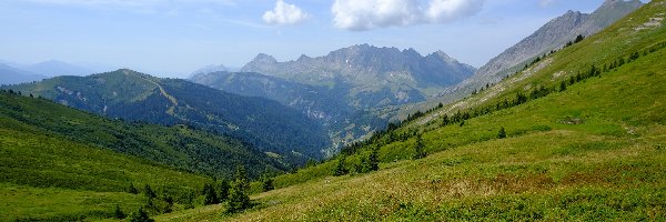 Góry, Drogi, Dolina, Drzewa, Trawa