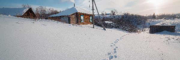 Śnieg, Drzewa, Ślady, Dom