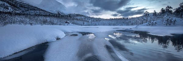 Chmury, Las, Drzewa, Góry, Zima, Dom, Jezioro