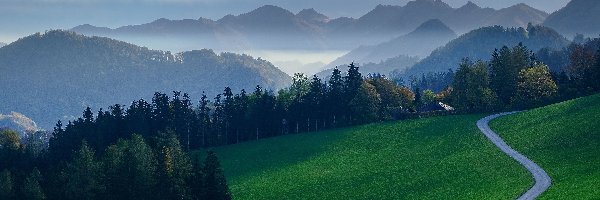 Góry, Drzewa, Mgła, Las, Droga, Dom, Łąka