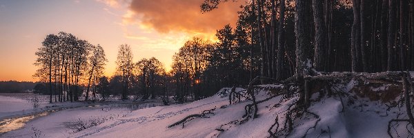 Śnieg, Drzewa, Rzeka, Chmury, Las, Zima