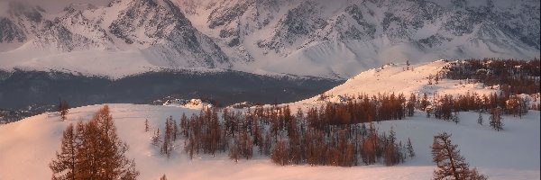 Góry, Drzewa, Pożółkłe, Zima