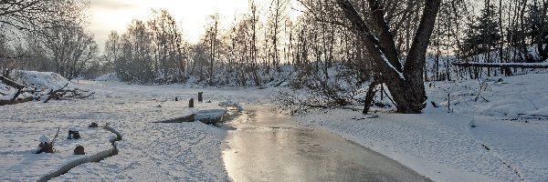 Rzeka, Krzewy, Drzewa, Zima