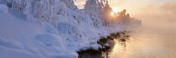 Jezioro, Zima, Śnieg, Mgła, Drzewa, Ośnieżone