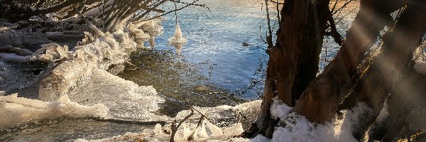 Śnieg, Lód, Drzewa, Krzewy, Zima, Niemcy, Bawaria, Sople, Jezioro Ammersee