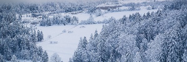 Zima, Ośnieżone, Mgła, Domy, Drzewa