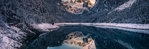 Lasy, Jezioro Gosauseen, Austria, Gosau, Zima, Drzewa, Powiat Gmunden, Góry Dachstein