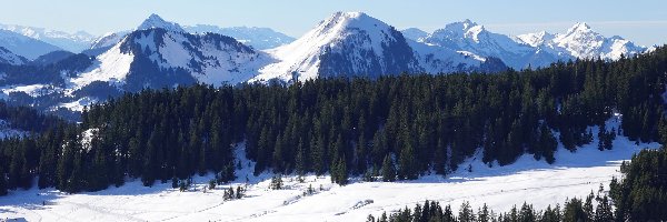 Śnieg, Zima, Drzewa, Góry