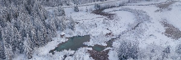 Droga, Zaśnieżona, Z lotu ptaka, Las, Rzeka, Ośnieżone, Drzewa, Zima