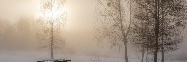 Zima, Drzewa, Śnieg, Ławka, Mgła