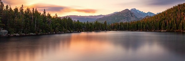 Stany Zjednoczone, Park Narodowy Gór Skalistych, Kamienie, Jezioro Bear Lake, Góry Skaliste, Kolorado, Drzewa