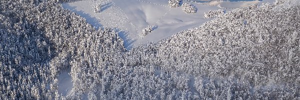 Zima, Drzewa, Ośnieżone, Z lotu ptaka, Góry