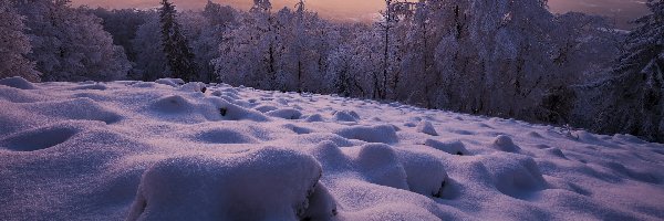 Zima, Zaspy, Śnieg, Mgła, Drzewa