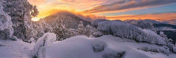 Zima, Drzewa, Góry, Skała, Kamienie