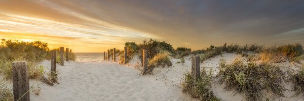 Wydmy, Zachód słońca, Piasek, Roślinność, Plaża, Morze