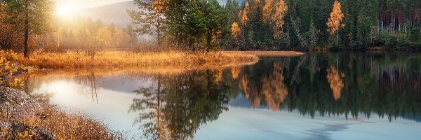 Rzeka, Drzewa, Las, Wschód słońca, Jesień