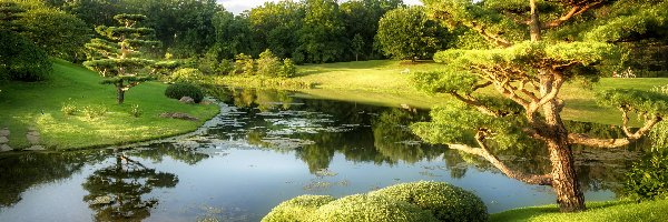 Chicago Botanical Garden, Botaniczny, Park, Staw, Drzewa, Stany Zjednoczone, Stan Illinois, Ogród, Glencoe