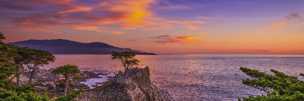 Pebble Beach, Cyprysy, Drzewa, Zatoka, Morze, Kalifornia, Zachód słońca, Carmel Bay, Lone Cypress, Stany Zjednoczone, Atrakcja, Skały