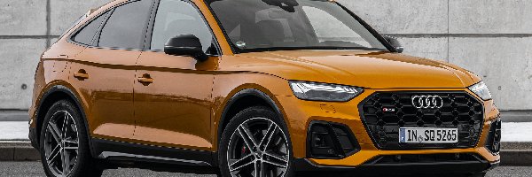 Bok, Audi SQ5 Sportback