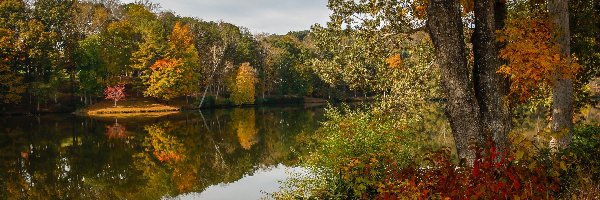 Lanier Lake, Jezioro, Liście, Drzewa, Jesień, Stany Zjednoczone, Stan Wirginia, Krzewy, Martinsville