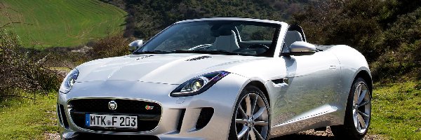 Kabriolet, Jaguar F-Type