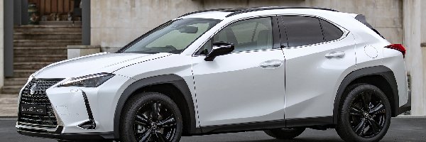 Bok, Lexus UX, Biały