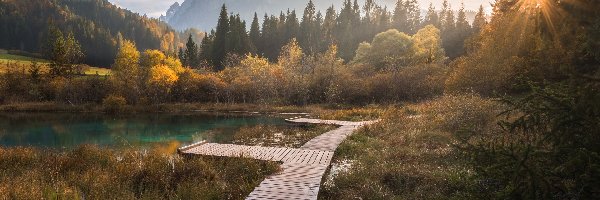 Jezioro Zelenci, Kranjska Gora, Pomost, Drewniany, Rezerwat przyrody Zelenci, Góry, Lasy, Słowenia