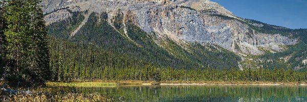 Kanada, Jezioro, Emerald Lake, Góry Skaliste, Park Narodowy Yoho, Kolumbia Brytyjska, Drzewa