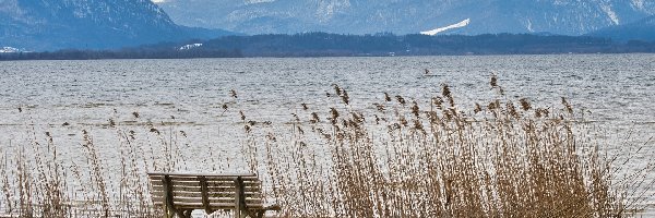 Jezioro, Alpy, Góry, Ławka, Trawa