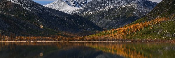 Rosja, Drzewa, Jezioro Jack London, Góry Kołymskie, Jesień, Obwód magadański, Kołyma