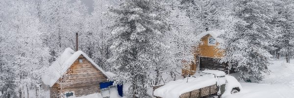 Ośnieżony, Las, Drzewa, Samochód, Zima, Domy