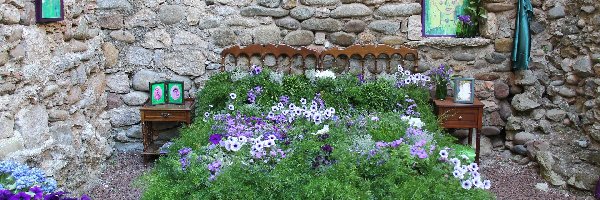 Mur, Kwiaty, Petunie, Skały, Łóżko, Ogród