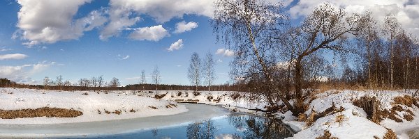 Brzozy, Śnieg, Drzewa, Chmury, Rzeka, Zima