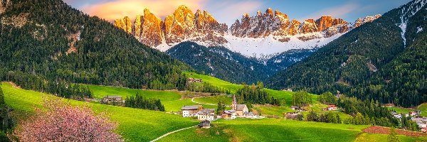 Domy, Val di Funes, Lasy, Kościół, Okwiecone, Dolina, Góry, Drzewa, Wieś, Włochy, Dolomity, Wiosna, Drzewo, Santa Maddalena