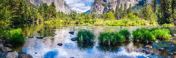 Trawa, Zielona, Merced River, Rzeka, Góry, Stany Zjednoczone, Kalifornia, Kępki, Park Narodowy Yosemite