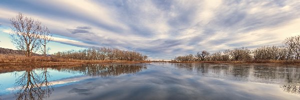 Stany Zjednoczone, Bezlistne, Drzewa, Lake Chatfield, Jezioro, Kolorado, Chatfield State Park