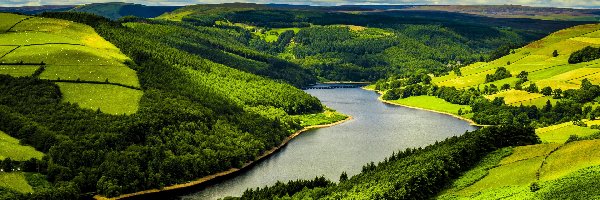 Zielone, Drzewa, Pola, Wzgórza, Lasy, Rzeka