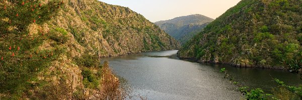 Góry, Rzeka Sil, Wąwóz Sil Canyon, Drzewa, Galicja, Hiszpania