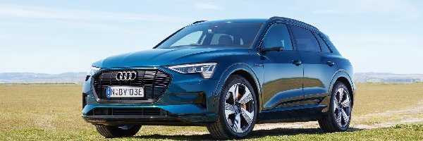 Audi e-Tron 55 Quattro, Niebieskie